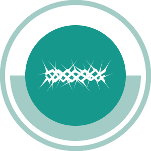 رسالة بطرس الأولى